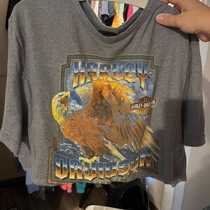 Harley-Davidson Gray Tee with Eagle Graphic